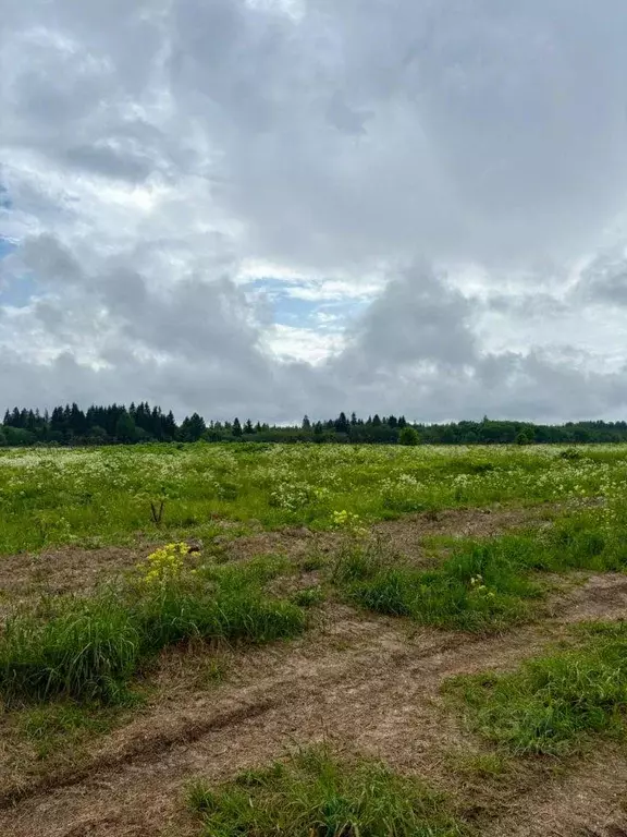 Участок, 740 сот., фермерское хоз-во - Фото 0