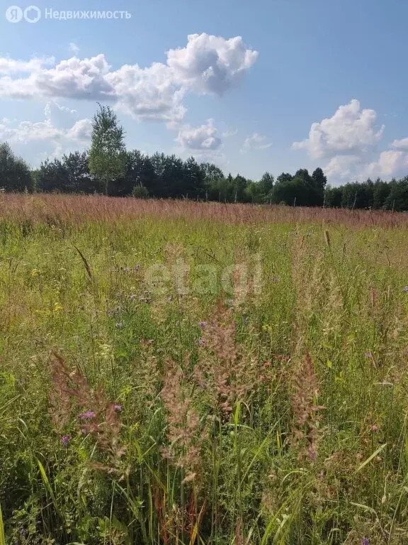 Участок в Калужская область, Дзержинский муниципальный округ, ... - Фото 2