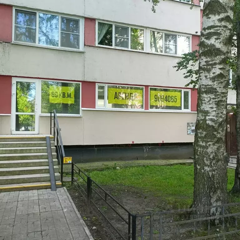 Помещение свободного назначения в Санкт-Петербург Наличная ул., 49 (80 ... - Фото 0