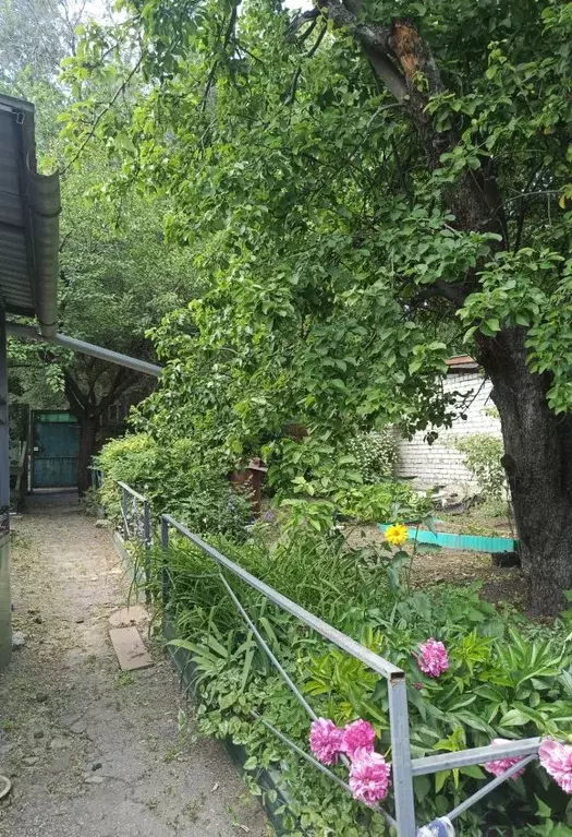 Дом в Саратовская область, Саратов ул. Большая Садовая, 126 (58 м) - Фото 1