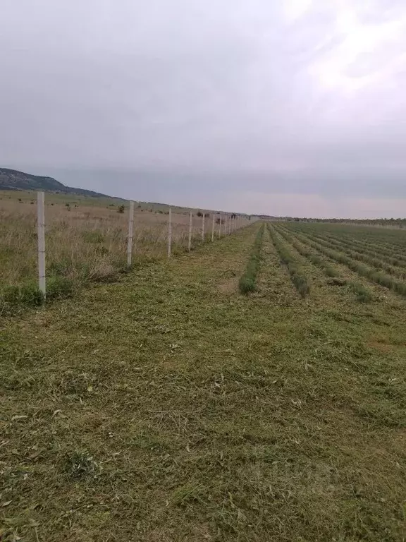 Участок в Крым, Бахчисарайский район, Куйбышевское с/пос, с. Танковое ... - Фото 0