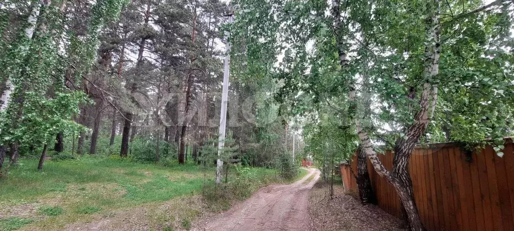 Участок 10 сот. (СНТ, ДНП) - Фото 0