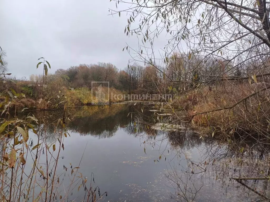 Участок в Владимирская область, Суздальский район, Новоалександровское ... - Фото 2