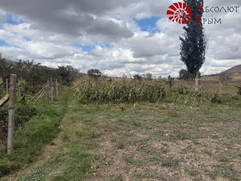 Участок в Крым, Феодосия муниципальный округ, с. Южное  (8.0 сот.) - Фото 2