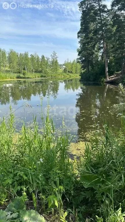 Участок в Новосибирск, Ботанический сад СО РАН (8 м) - Фото 1