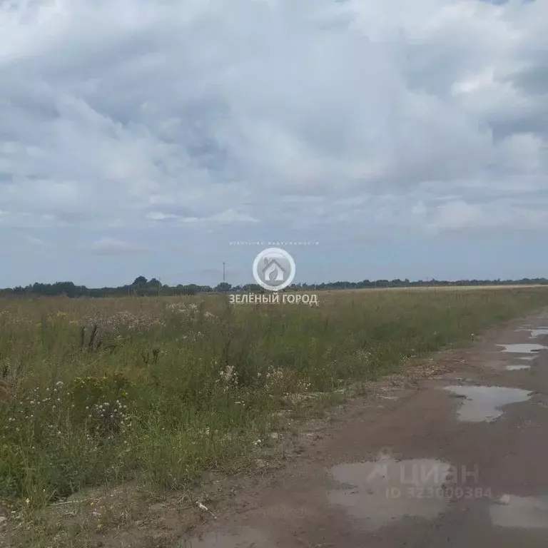 Участок в Калининградская область, Гурьевский муниципальный округ, ... - Фото 1