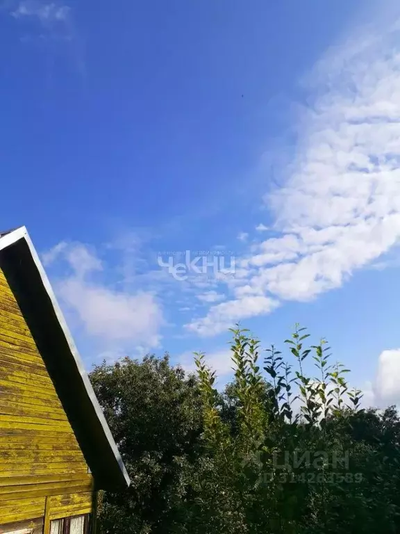 Дом в Нижегородская область, Кстово Престижный мкр, ул. Центральная ... - Фото 1