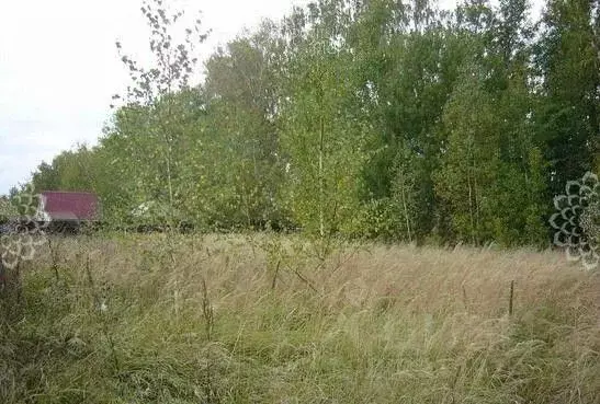 Участок в Калужская область, Жуковский район, Корсаково с/пос, д. ... - Фото 2