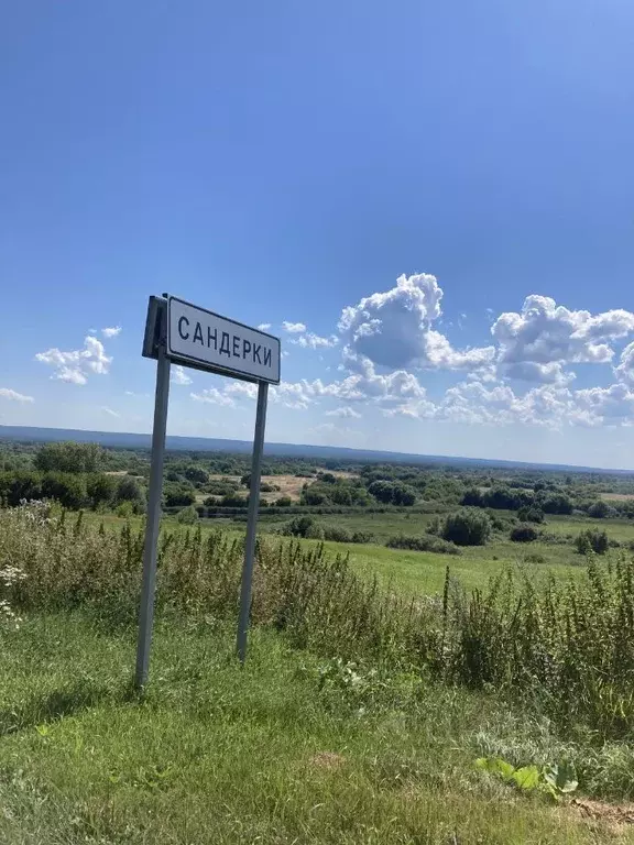 Участок в Пензенская область, Лунинский район, с. Сандерки Приозерная ... - Фото 0