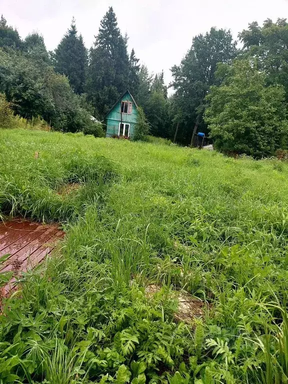 Дом в Московская область, Щелково городской округ, Заозерный СНТ ул. ... - Фото 1