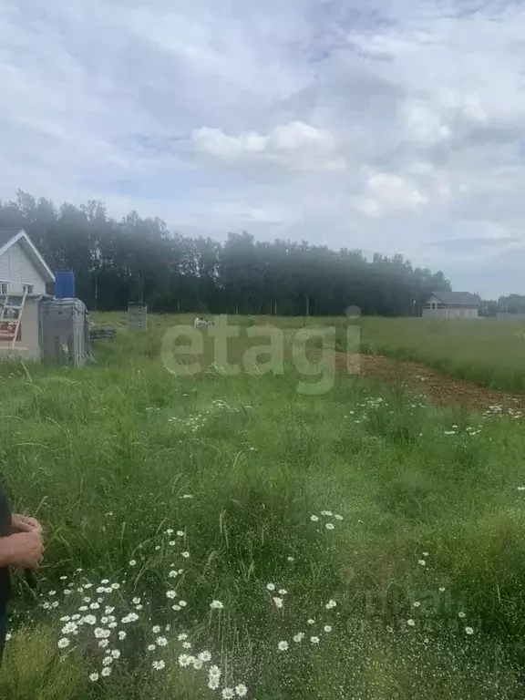 Участок в Московская область, Одинцовский городской округ, д. Щедрино ... - Фото 1