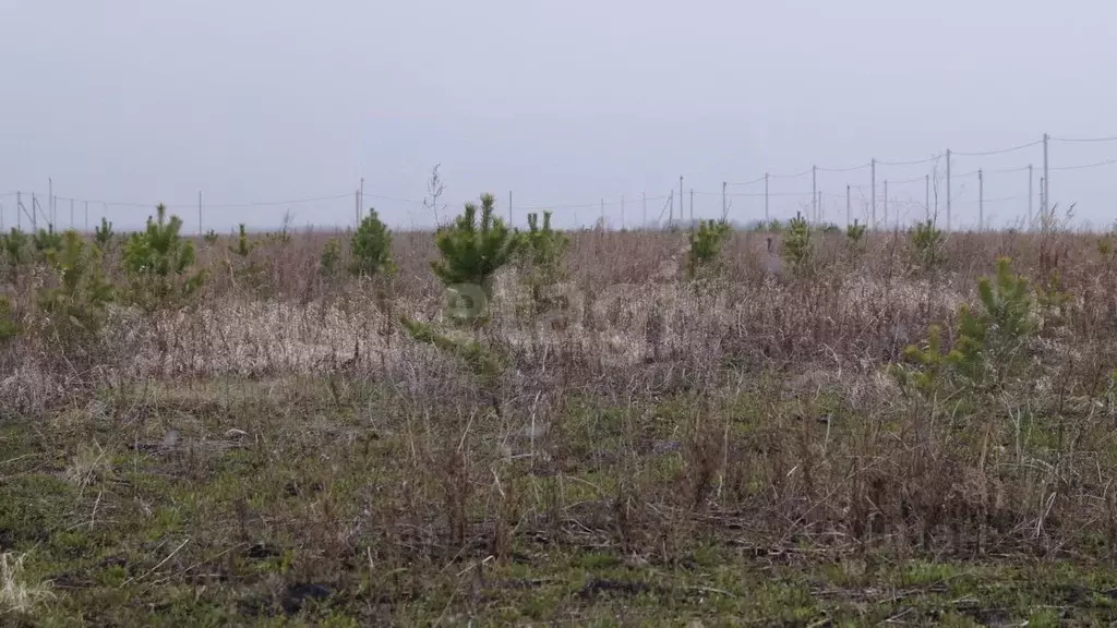 Участок в Тюменская область, Тюменский муниципальный округ, д. ... - Фото 1