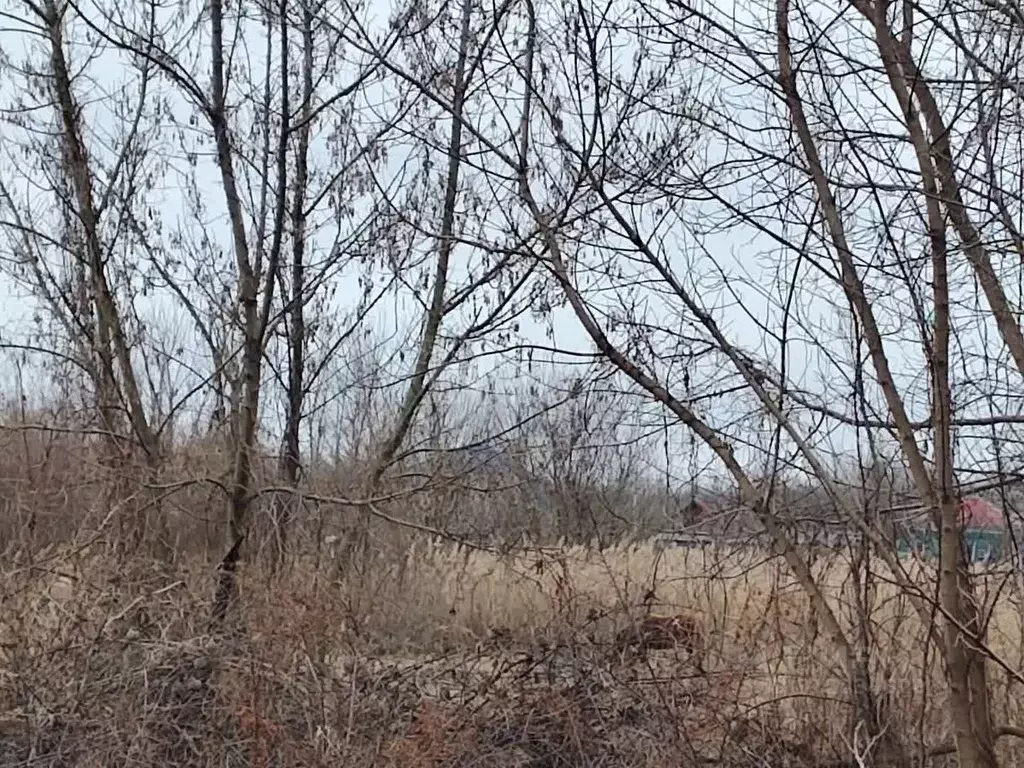 Участок в Белгородская область, Бирюч Красногвардейский район, ул. ... - Фото 1