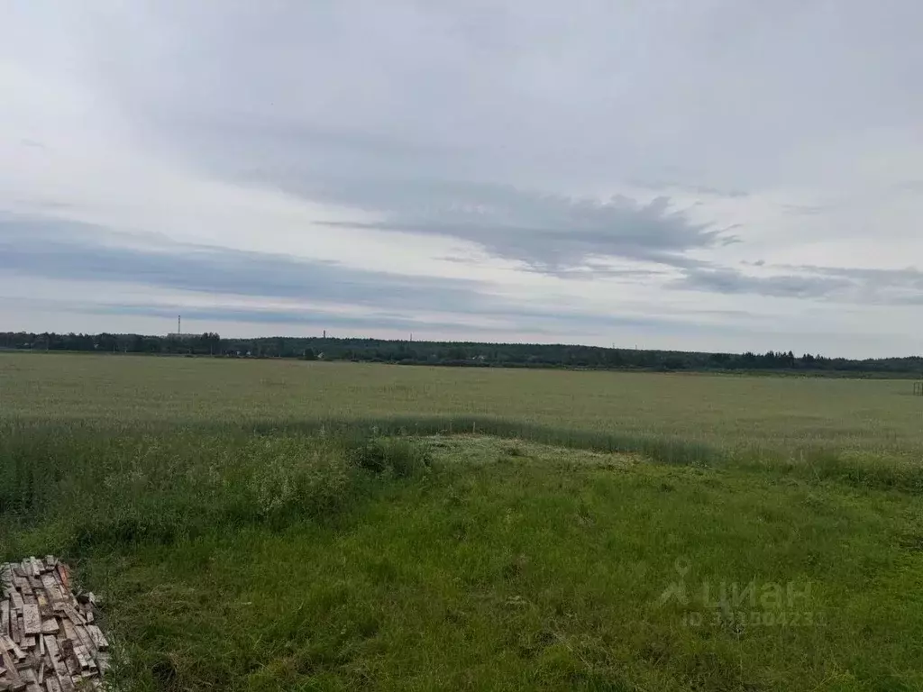 Участок в Ленинградская область, Гатчинский муниципальный округ, д. ... - Фото 2