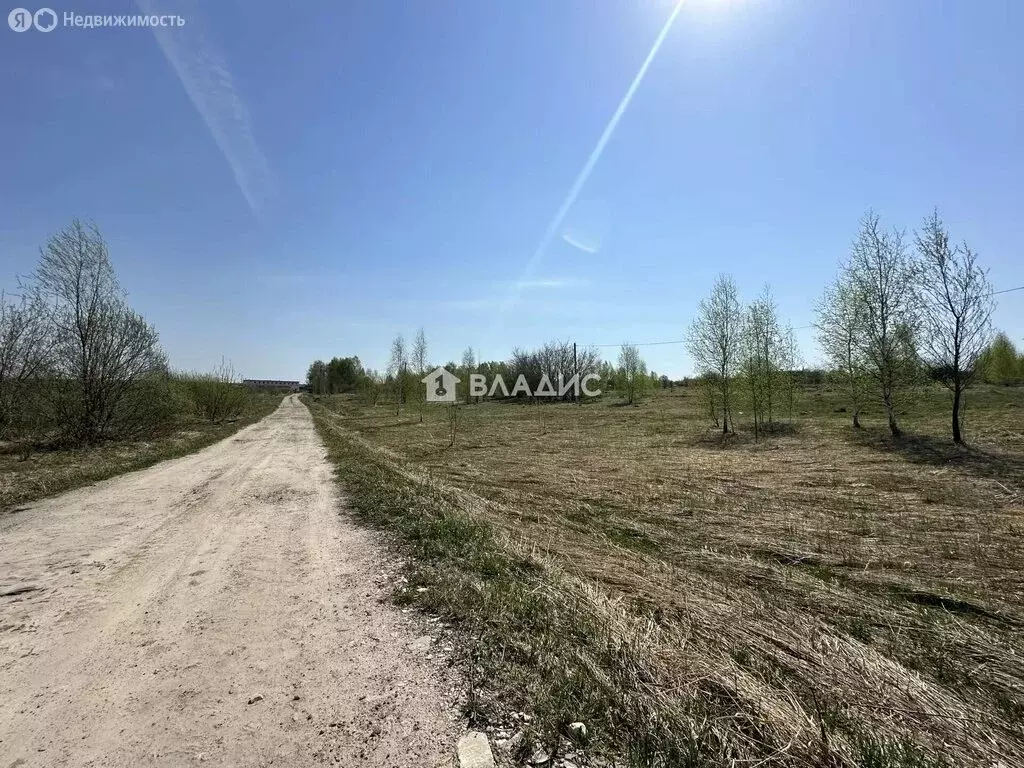 Участок в Нижегородская область, Богородский муниципальный округ, село ... - Фото 1