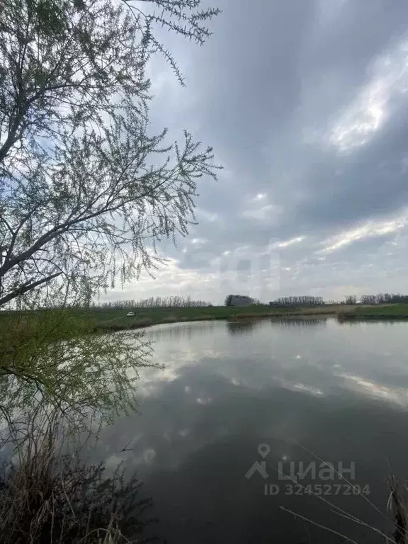 Участок в Ростовская область, Мясниковский район, с. Большие Салы ул. ... - Фото 1