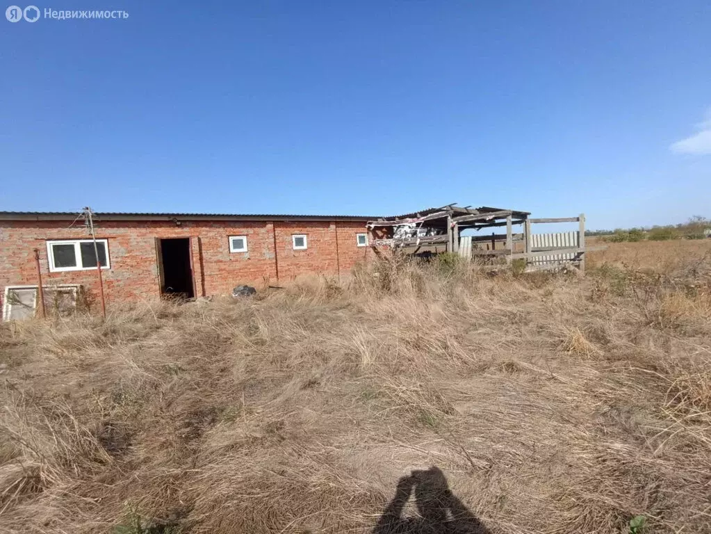 Участок в Комсомолец, Новая Садовая улица (17 м) - Фото 1