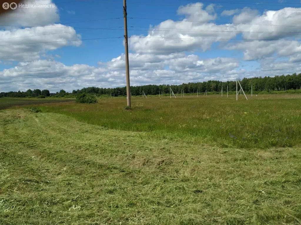 Участок в Тюменский муниципальный округ, деревня Большие Акияры, ... - Фото 0