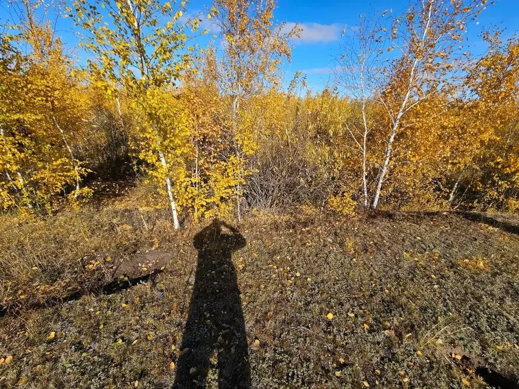 Участок в Саха (Якутия), Якутск ш. Покровское (10.0 сот.) - Фото 1