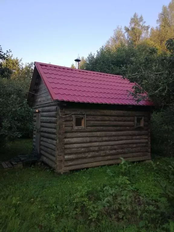 Участок в Ленинградская область, Гатчинский муниципальный округ, Чаща ... - Фото 2