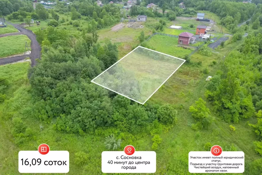 Участок в Хабаровский край, Хабаровский район, с. Сосновка Лесная ул., ... - Фото 2