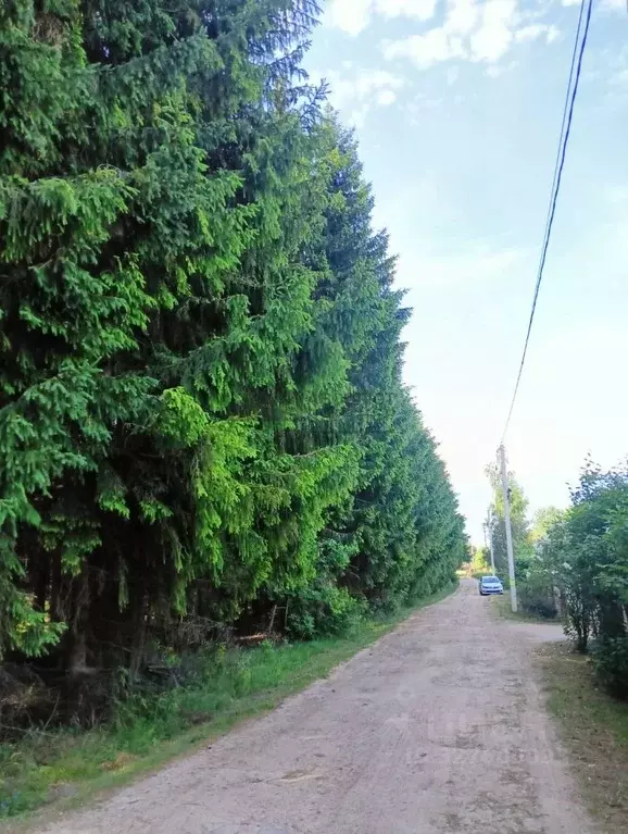 Участок в Новгородская область, Новгородский район, Ракомское с/пос, ... - Фото 1
