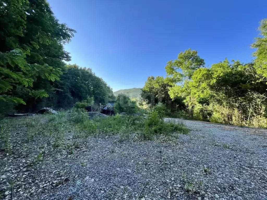 Участок в Краснодарский край, Геленджик городской округ, с. ... - Фото 2