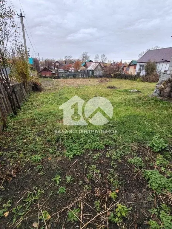 Участок в Новосибирская область, Новосибирск Ложок садовое ... - Фото 1