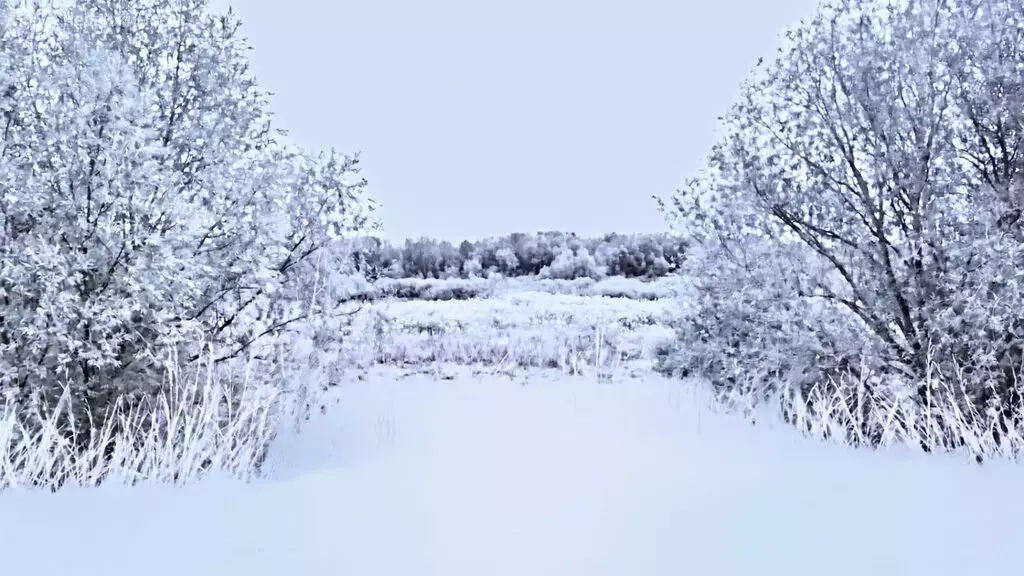 Участок в Илекский район, посёлок Димитровский (8 м) - Фото 2