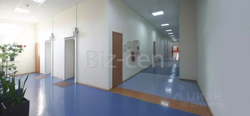 Офис в Санкт-Петербург Рижская ул., 3 (54 м) - Фото 2