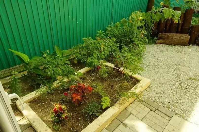 Дом в Краснодарский край, Геленджик Красная ул., 17 (60 м) - Фото 2