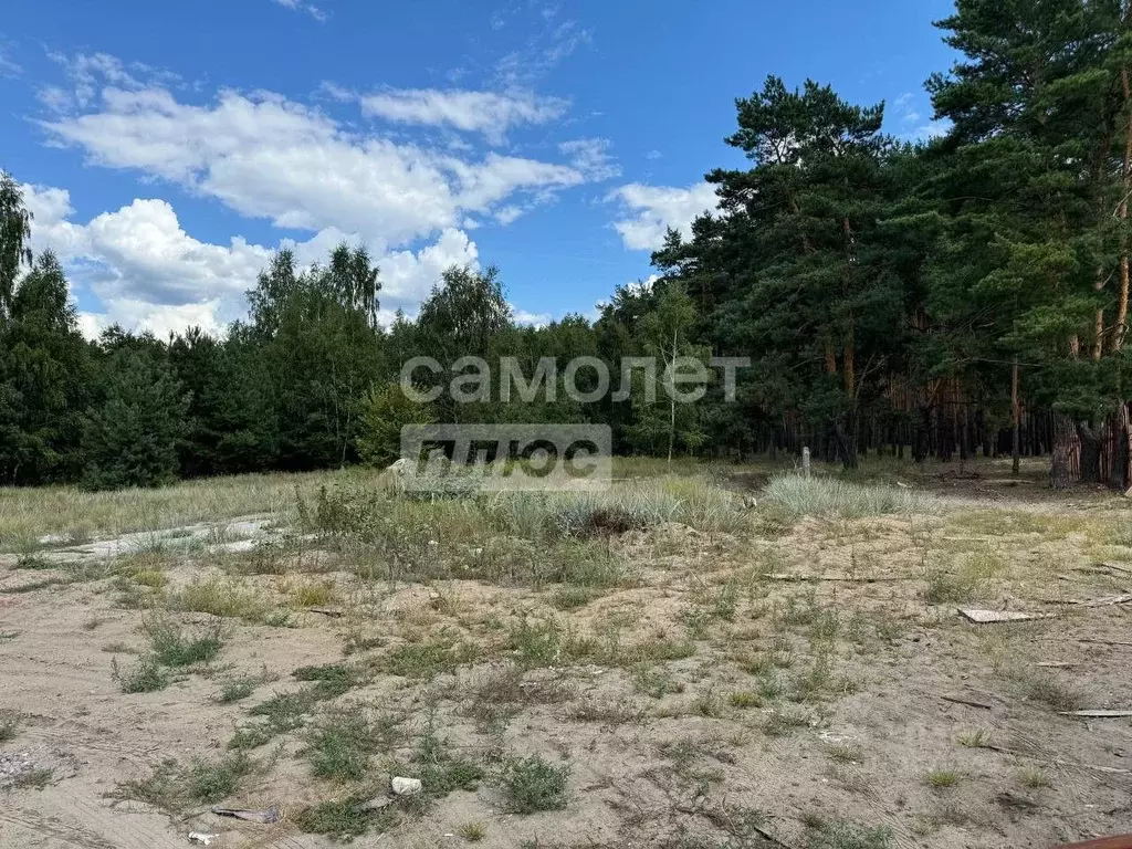 Участок в Тамбовская область, Тамбов Рассказовское ш., 2Э (10.29 сот.) - Фото 0