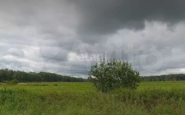 Участок 39,5 сот. (ИЖС) - Фото 1