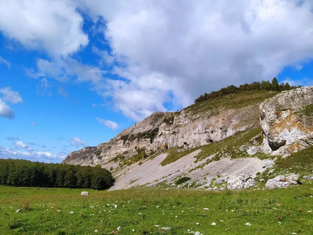 Участок в Башкортостан, Гафурийский район, с. Имендяшево Колхозная ... - Фото 2
