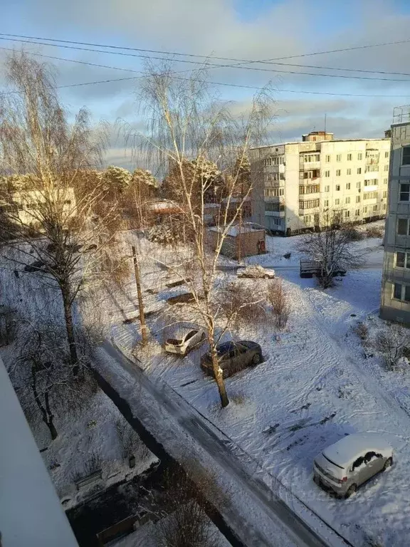 1-к кв. Ленинградская область, Ломоносовский район, Лебяженское ... - Фото 2