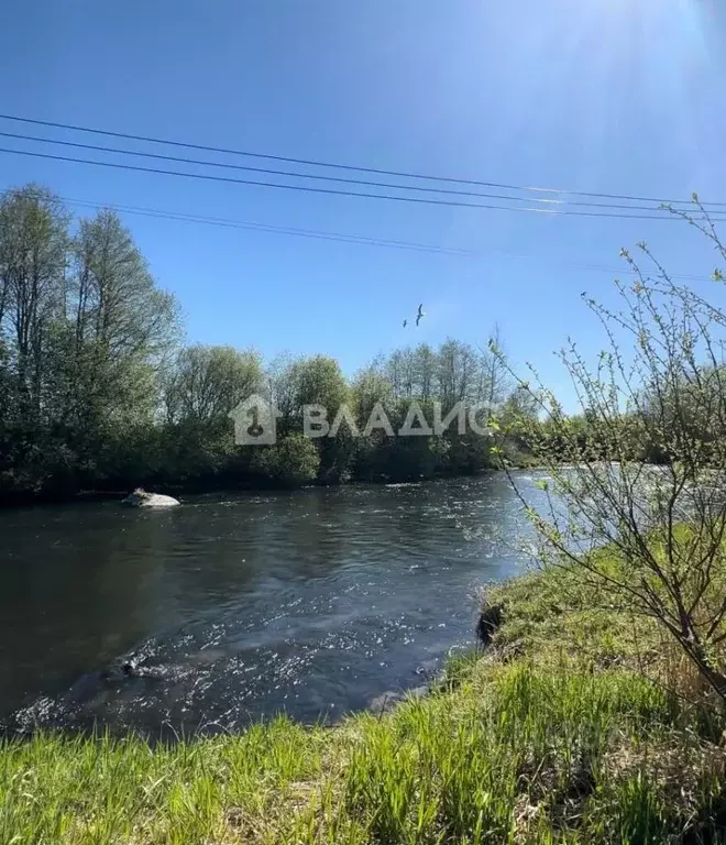Участок в Ленинградская область, Гатчинский район, д. Шаглино ул. ... - Фото 0