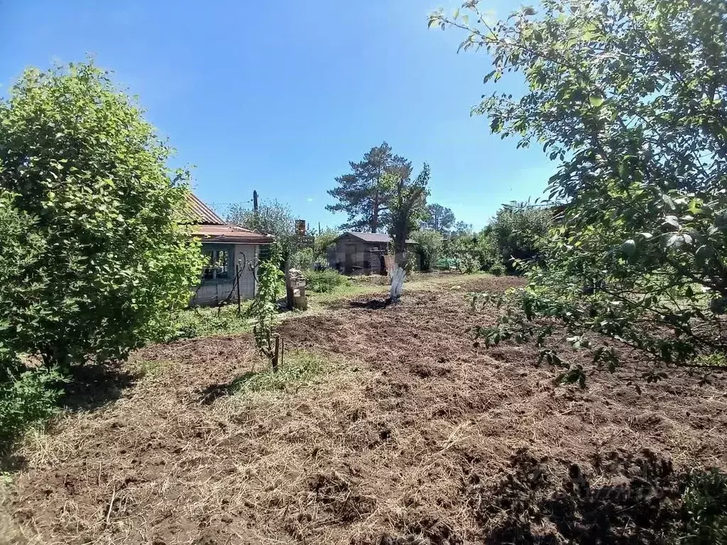Дом в Оренбургская область, Оренбург Кооператор СНТ, ул. Яблоневая (37 ... - Фото 0
