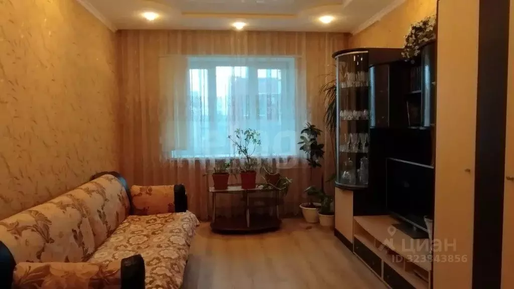 1-к кв. Ленинградская область, Кириши ул. Нефтехимиков, 24А (41.0 м) - Фото 1