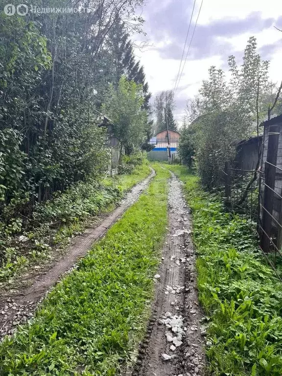 Дом в Плотниковский сельсовет, улица Берёзовая роща (36.4 м) - Фото 0