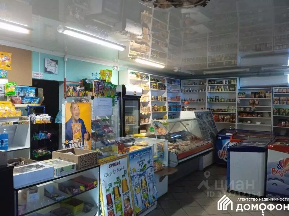 Помещение свободного назначения в Омская область, Омский район, ... - Фото 1