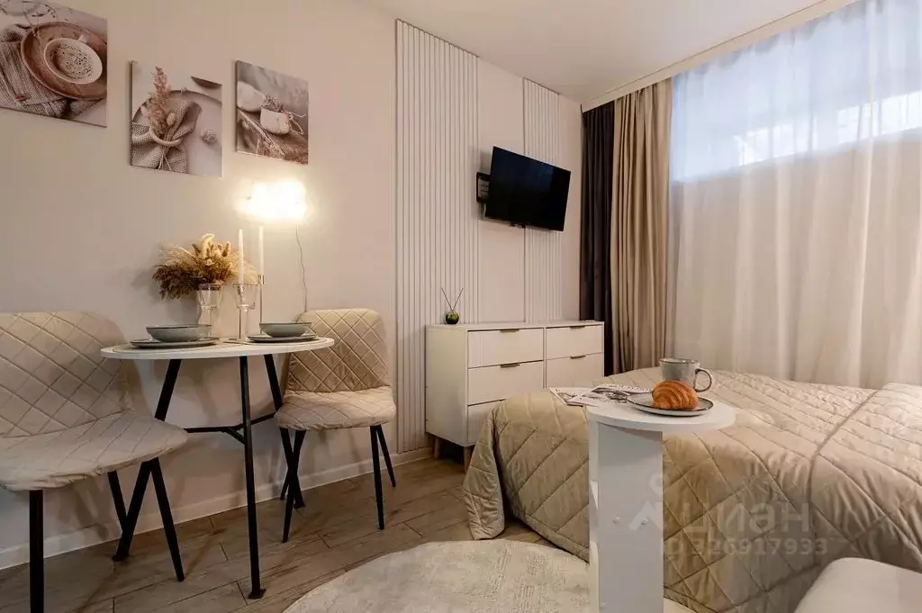 Студия Москва Николоямский пер., 2 (15.0 м) - Фото 2