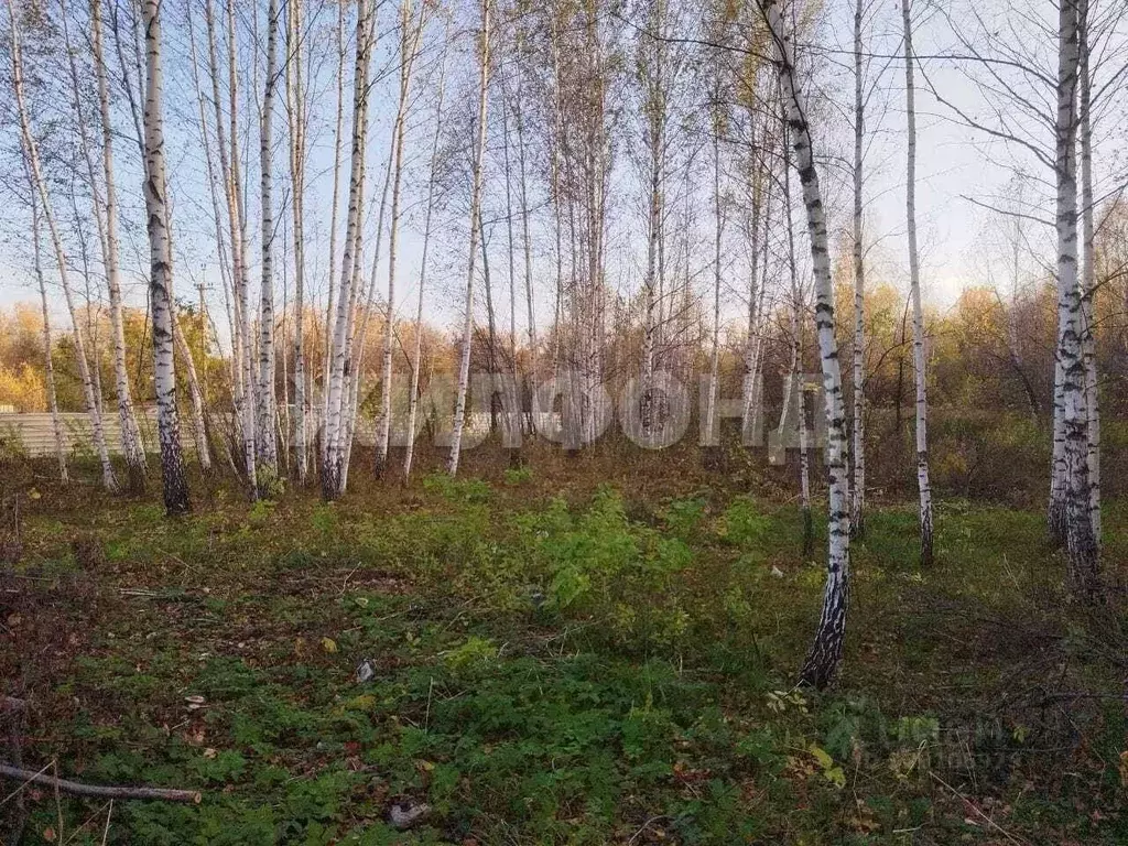 Участок в Новосибирская область, Новосибирск Тайфун СТ,  (8.6 сот.) - Фото 1
