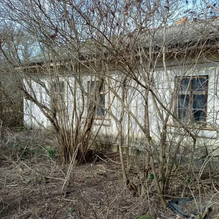 Дом 78 м на участке 19 сот. - Фото 1