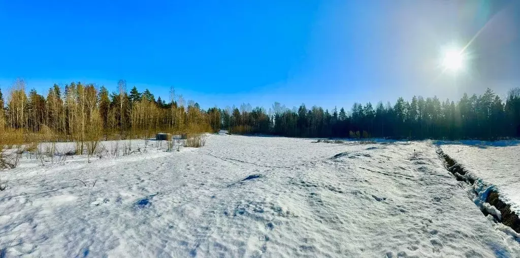 Участок в Ленинградская область, Приозерский район, Громовское с/пос, ... - Фото 0