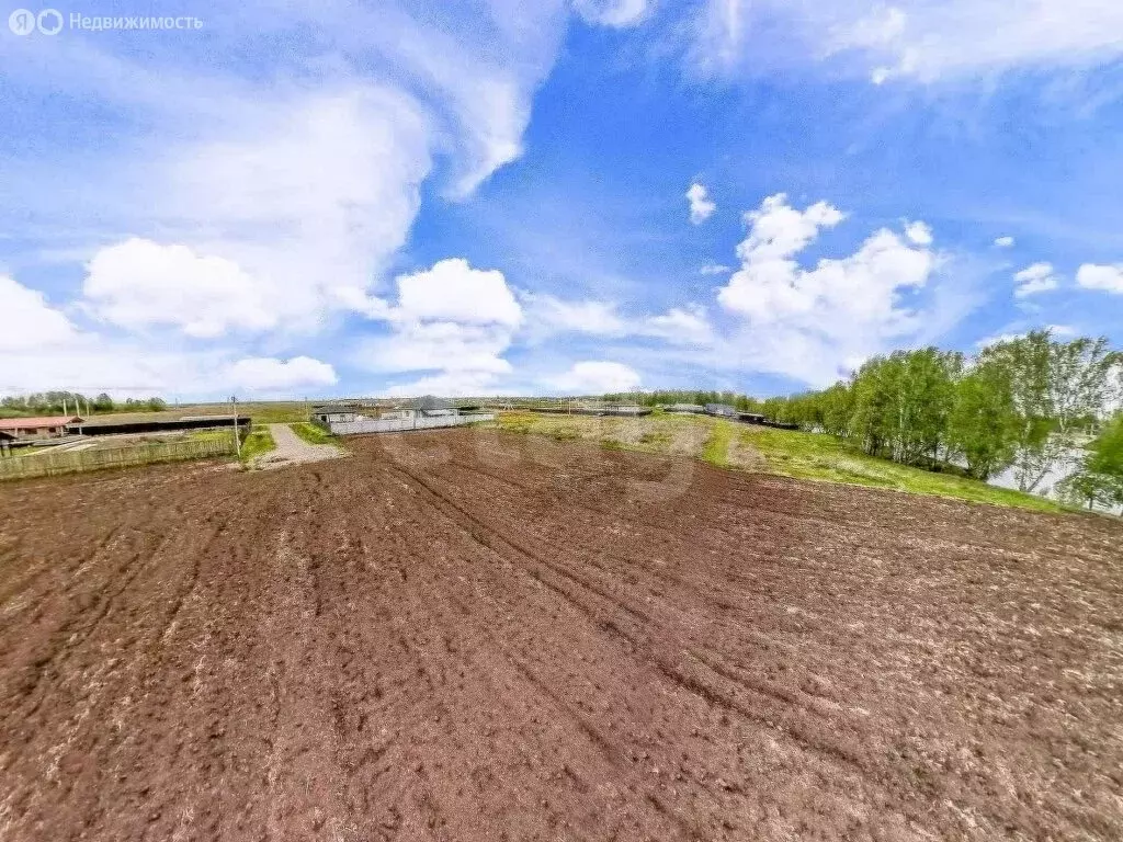 Участок в Тюменский муниципальный округ, деревня Малиновка, коттеджный ... - Фото 2