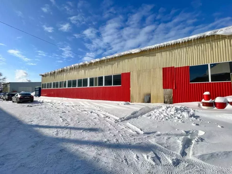 Склад в Саратовская область, Саратов ул. Имени А.П. Шехурдина, 22 ... - Фото 1