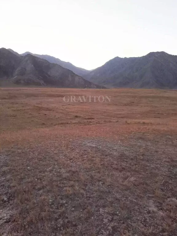 Участок в Онгудайский район, село Инегень (1.7 м) - Фото 2
