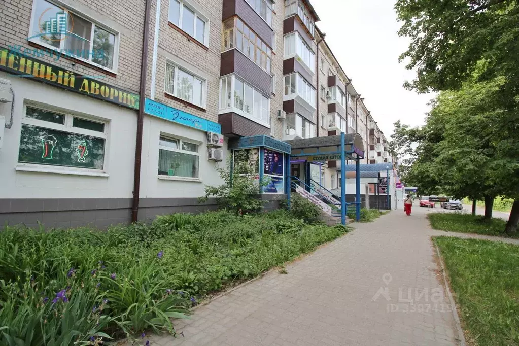 Помещение свободного назначения в Ульяновская область, Димитровград ... - Фото 2