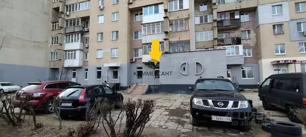 Торговая площадь в Нижегородская область, Нижний Новгород ул. ... - Фото 1