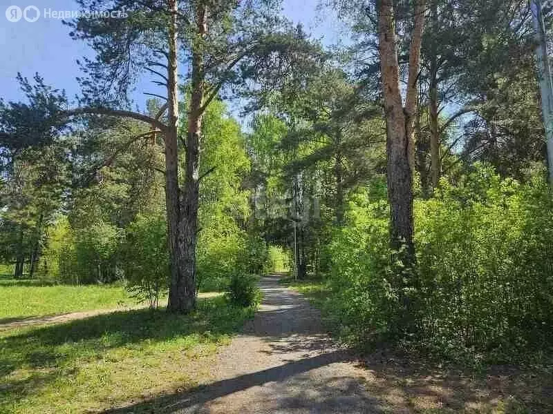 Участок в Добрянский городской округ, деревня Залесная (8.58 м) - Фото 1